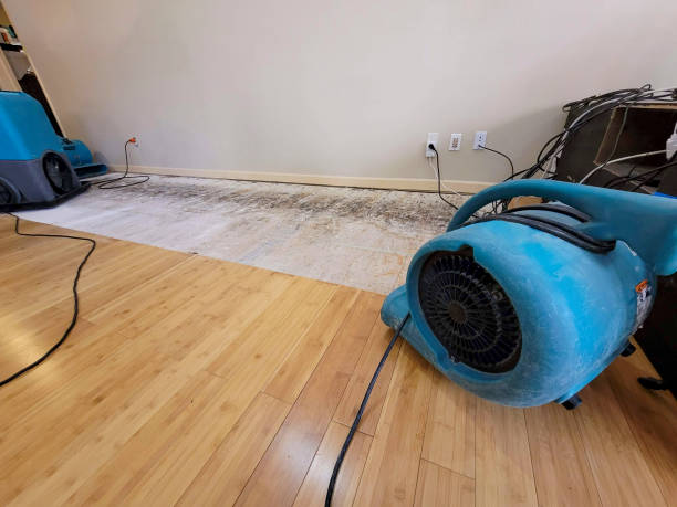Professional Water Removal technician working in Neapolis, OH